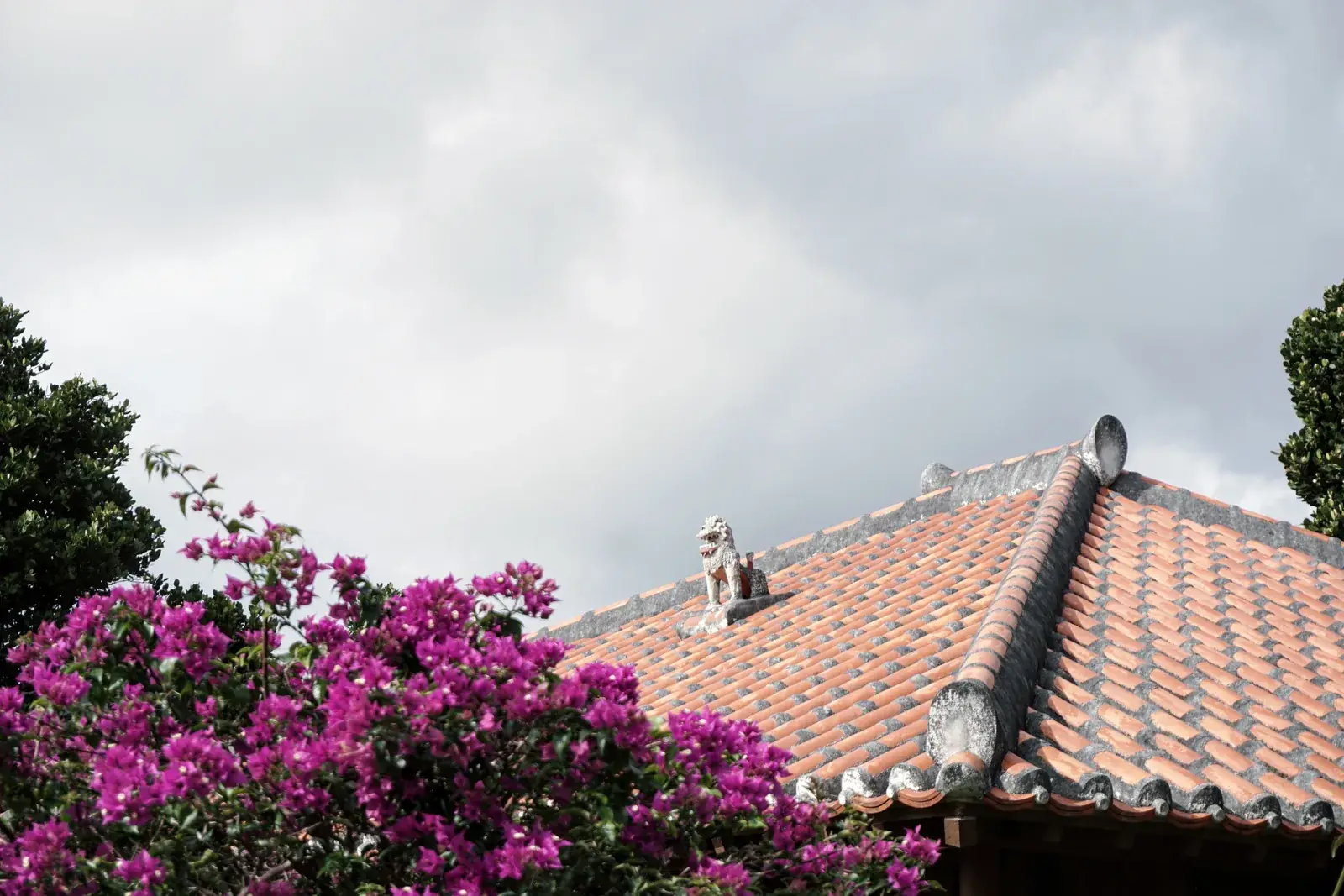 A traditional red-tiled Ishigaki roof with a shisa and bougainvillea