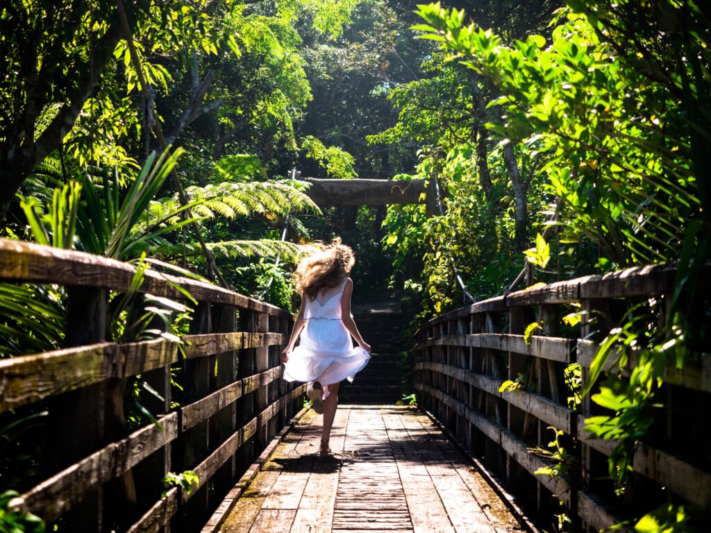 Exploring trails and tropical fairytale like forest at Banna Park, Ishigaki.