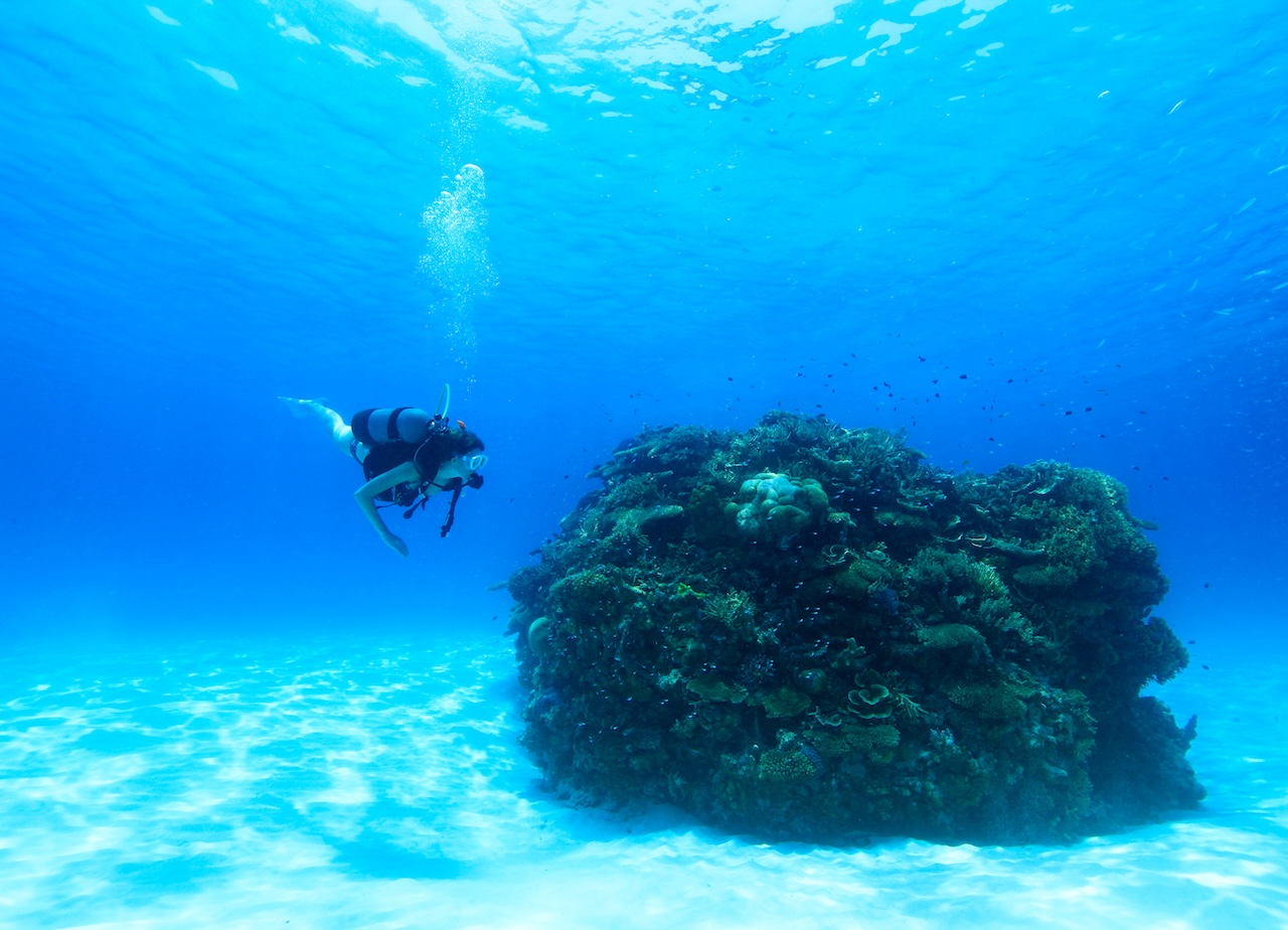 Diver exploring a coral reef in the Yaeyama Islands, Okinawa, Japan