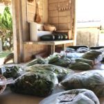 farmers markets in ishigaki okinawa japan