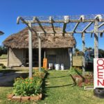 farmers markets in ishigaki okinawa japan