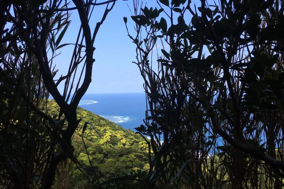 hiking in ishigaki japan fukai omoto