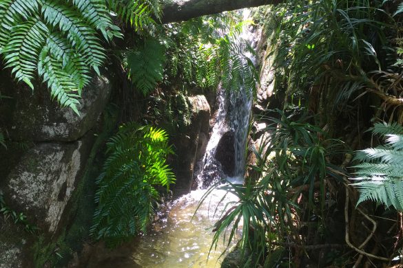 Waterfall hiking in Ishigaki Okinawa Japan