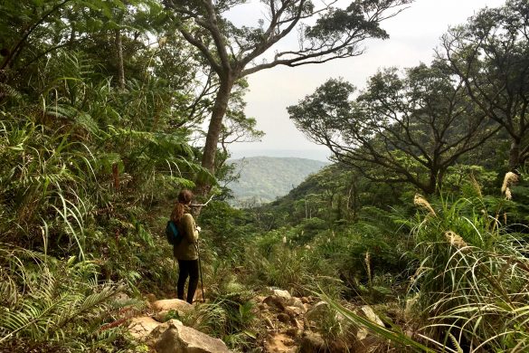 Hiking Mount Omoto Dake