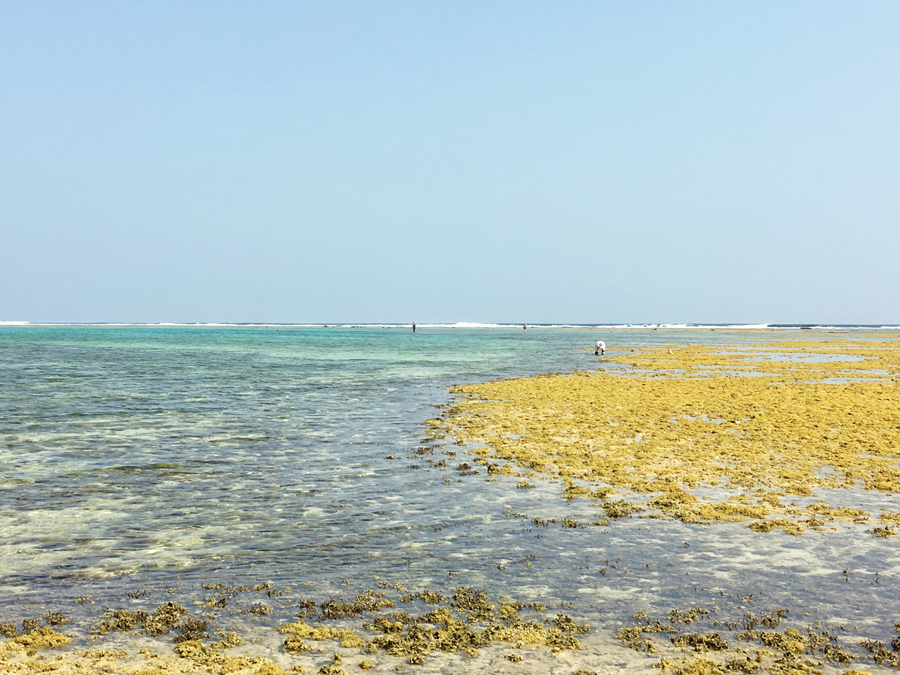 Fishing in ishigaki okinawa japan shiraho