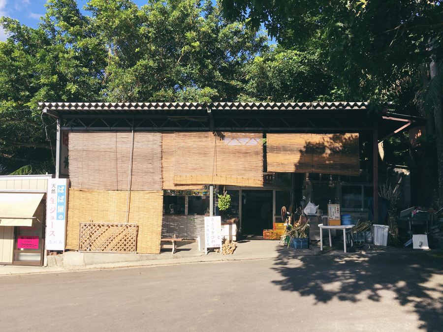 fresh juice in ishigaki parlor papaya yonehara palm grove yaeyama yashi