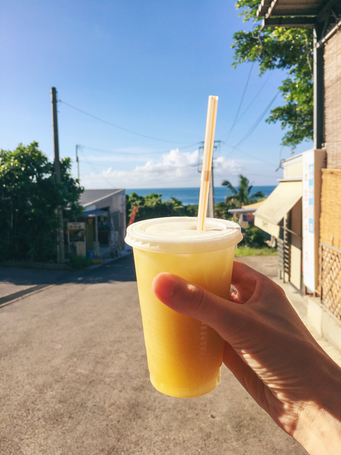 fresh juice in ishigaki yonehara palm grove yaeyama yashi