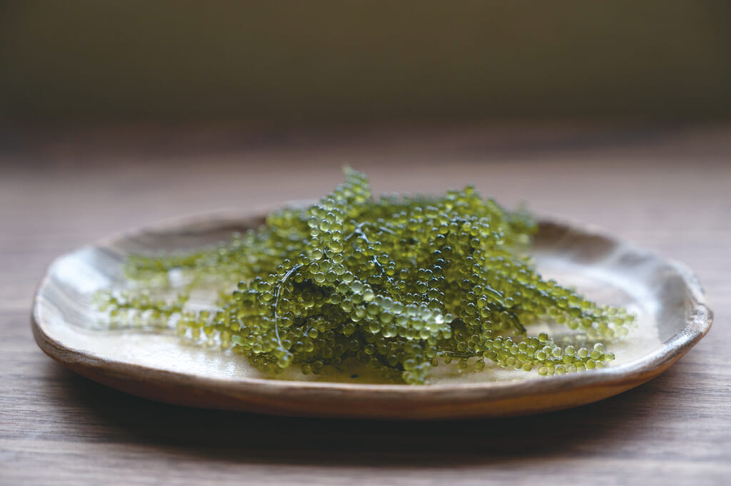 A plate with local Okinawa green sea grapes, umibudo