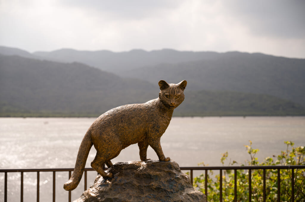 An Iriomote wildcat statue on Iriomote island