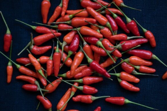 Shima tōgarashi, the tiny but fiery Okinawan island chili pepper