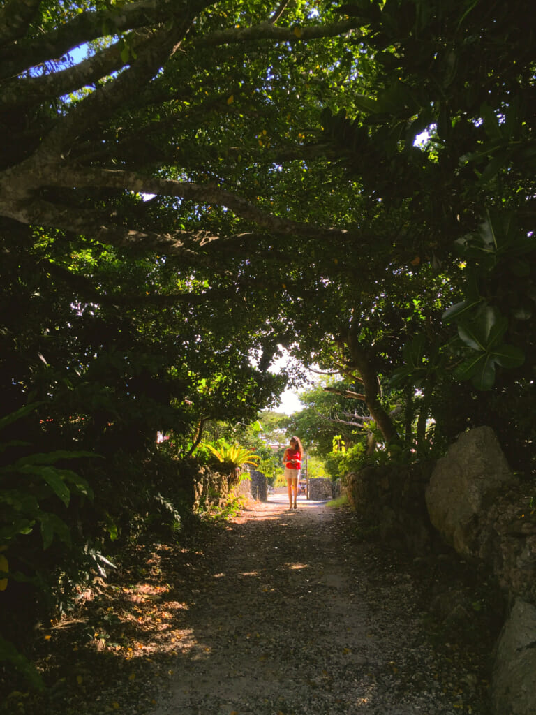 Traditional streets in Taketomi Island village